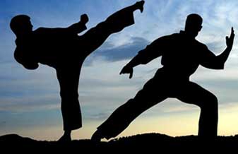 Taiyokan Academia de Artes Marciais - Foto 1