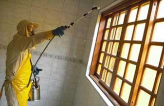 Dedetizadora Unidas - Foto 1