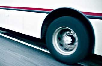 Nova Free Bus e Fretado - Foto 1