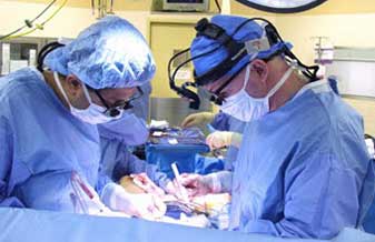 Hospital Estadual Mário Covas - Foto 1