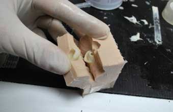 Tecnosil Industria e Comercio de Artefatos de Silicone - Foto 1