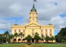 Prefeitura Municipal de São Caetano do Sul