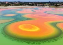 Gurias Coloradas