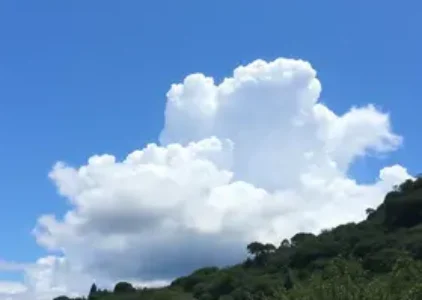 Últimas noticias de Santo André