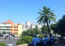 Almoço Conexões & Negócios