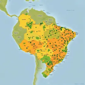 Brasil indígena