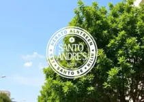 Santo André ganha selo internacional por cuidado com árvores