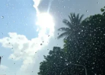 previsão do tempo Santo André